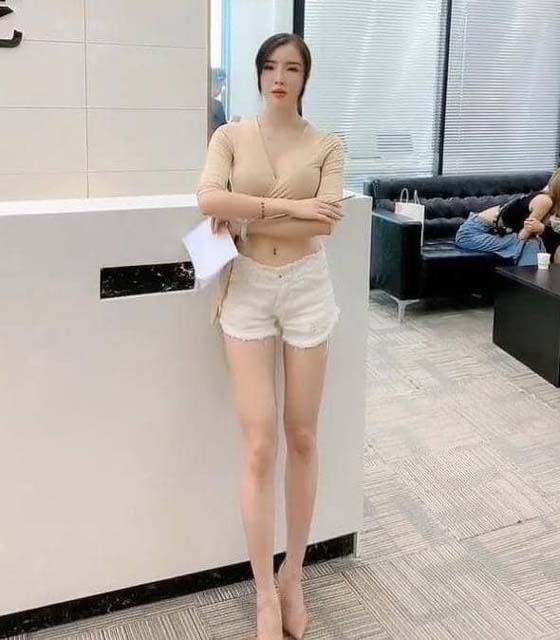 导游和陪游的区别